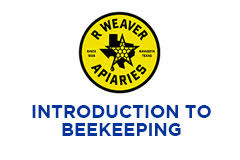 Introduction to Beekeeping - FREE